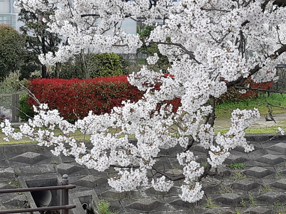 �դ餷���������ˡ���ñ�ˤǤ��������ؤ������ǥ�5��