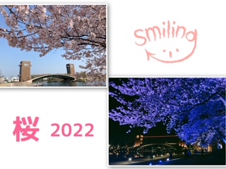 桜 -2022-