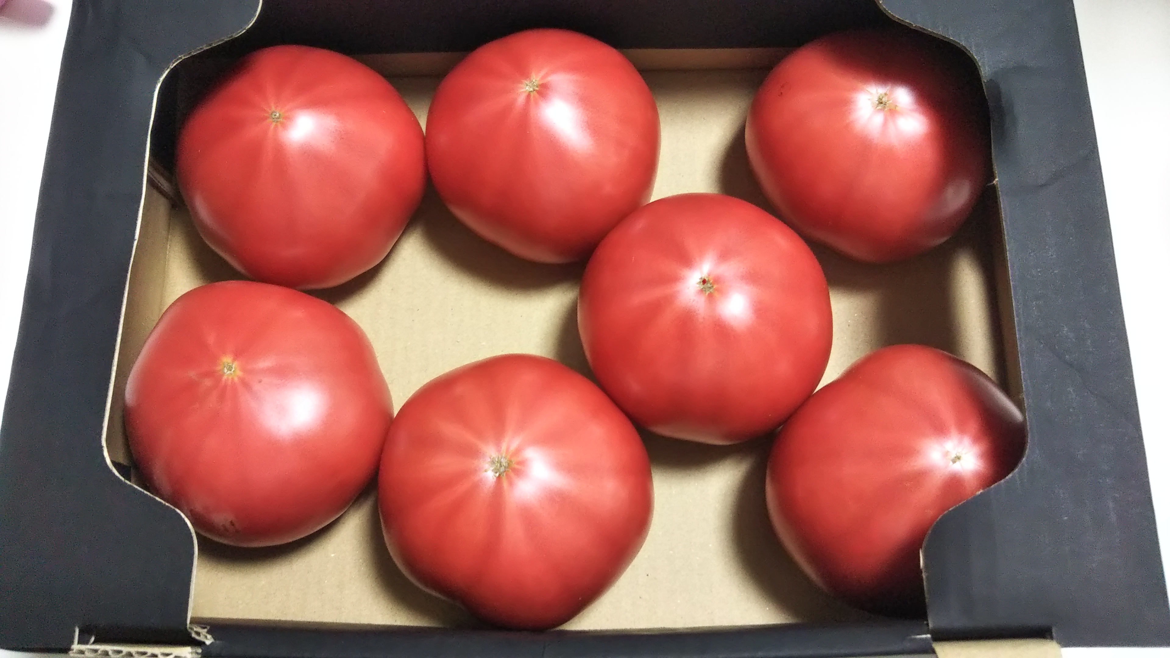 トマトの美味しい季節です