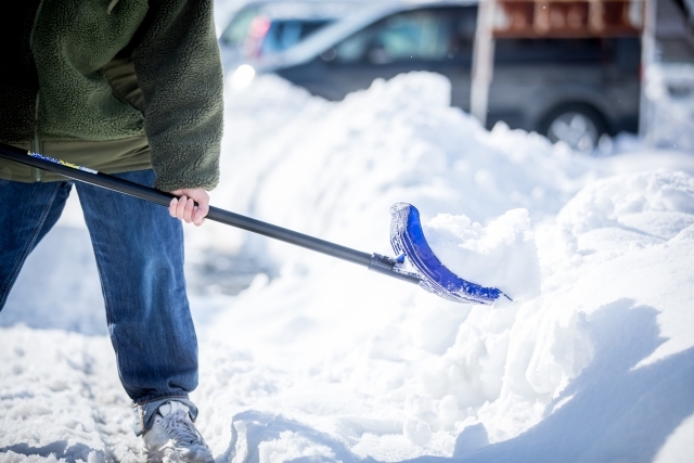 㤫Τ䤹ŤΦߤ饯ˤȤޤ߷פΥ