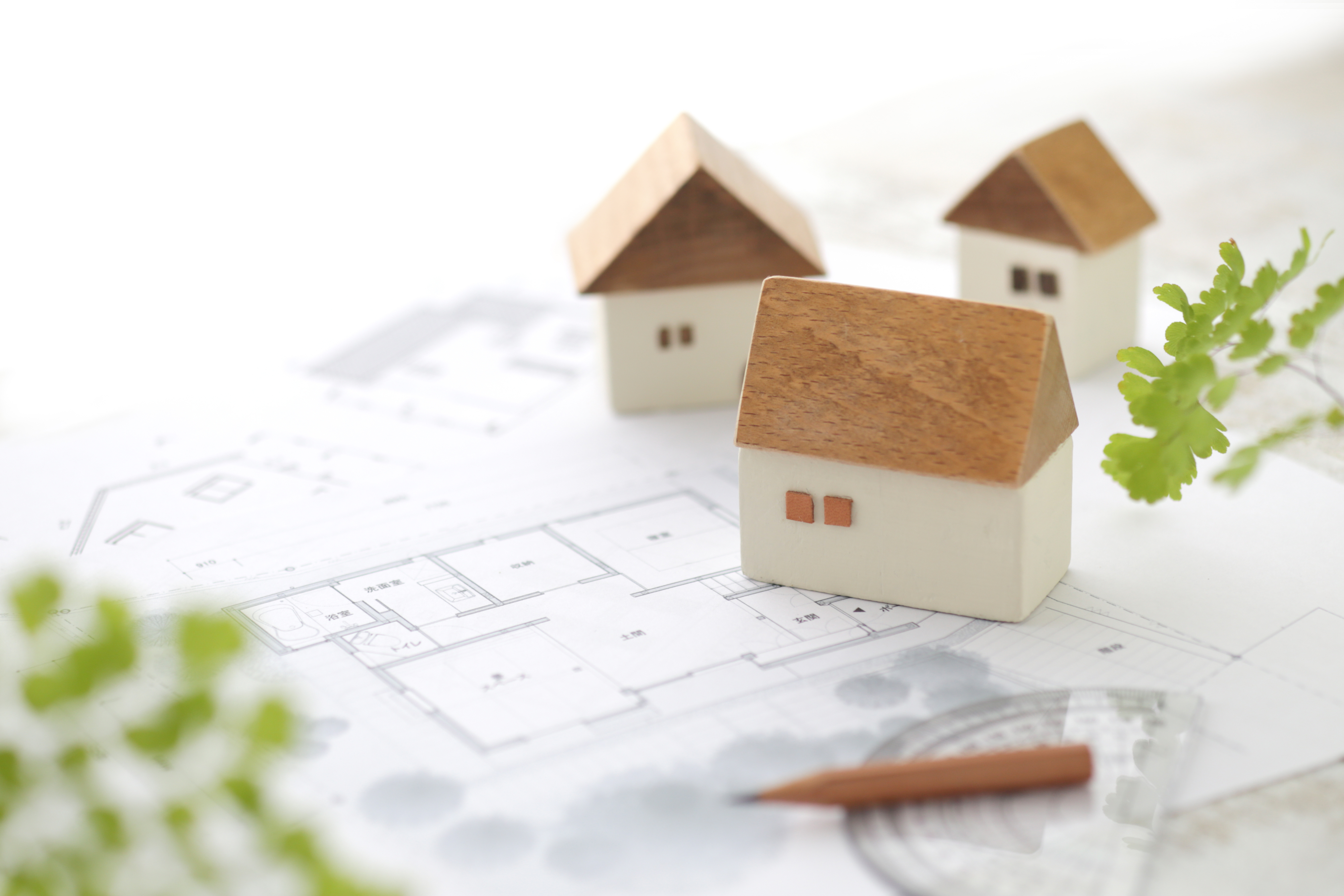 �ֹ����פ��������⡩�ߤ˼´������Ȥ��礦�ɤ����ּ��ɤ���